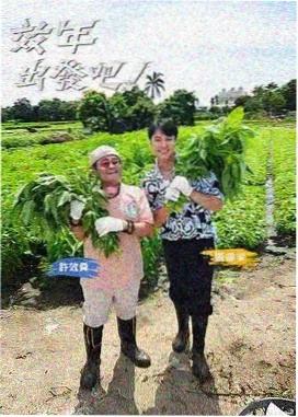 海润影视美食手作综艺灶台边的四季剧照